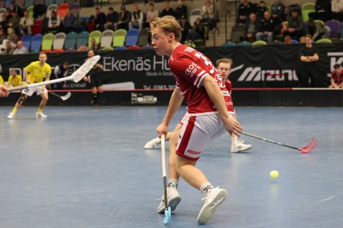 20260103 HovslattVisby 0247