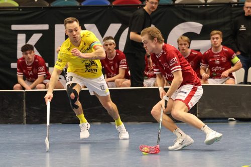 20260103 HovslattVisby 0250