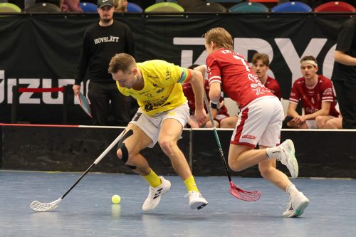 20260103 HovslattVisby 0252