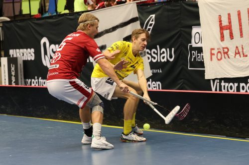 20260103 HovslattVisby 0257