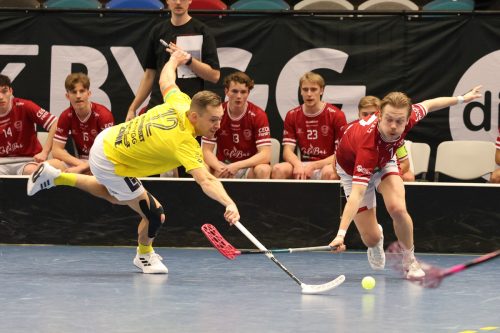 20260103 HovslattVisby 0258