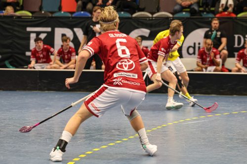 20260103 HovslattVisby 0259