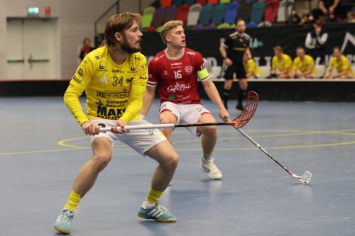 20260103 HovslattVisby 0274