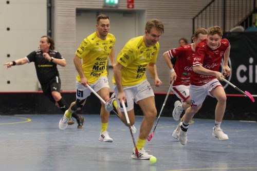 20260103 HovslattVisby 0284