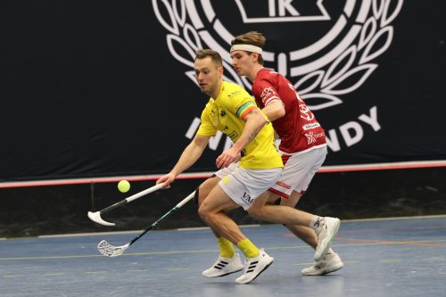 20260103 HovslattVisby 0294