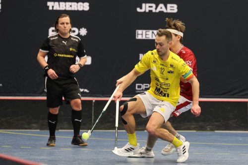 20260103 HovslattVisby 0296