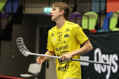 20260103 HovslattVisby 0313