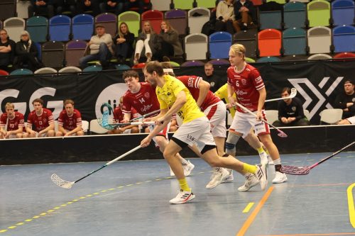 20260103 HovslattVisby 0319