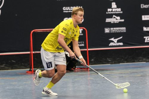 20260103 HovslattVisby 0321