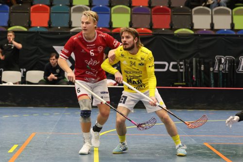 20260103 HovslattVisby 0325