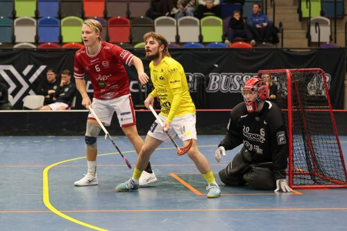 20260103 HovslattVisby 0327