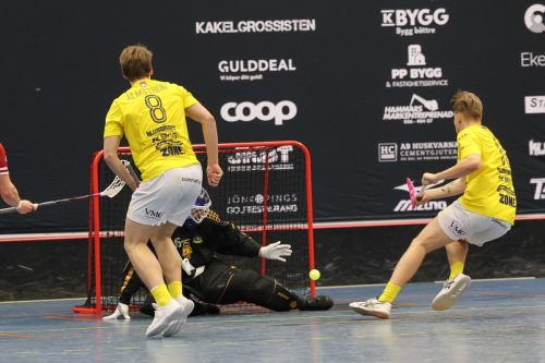 20260103 HovslattVisby 0329