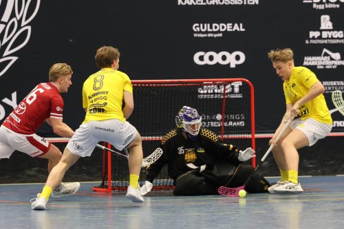 20260103 HovslattVisby 0331