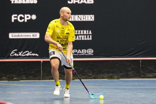 20260103 HovslattVisby 0339