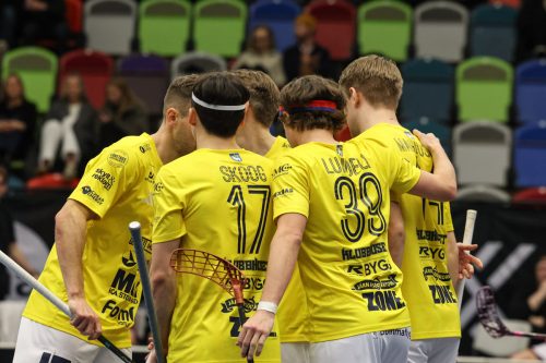 20260103 HovslattVisby 0344