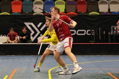 20260103 HovslattVisby 0346