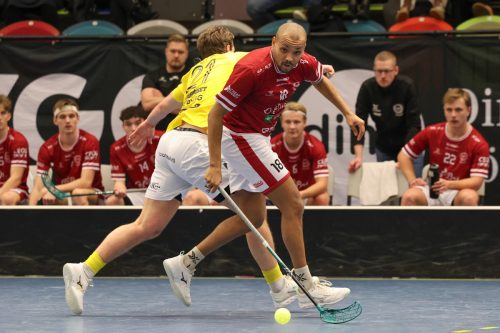 20260103 HovslattVisby 0352