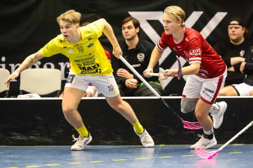 20260103 HovslattVisby 0353