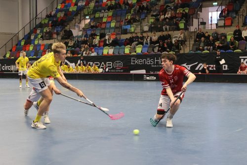 20260103 HovslattVisby 0362