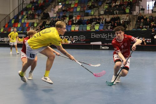 20260103 HovslattVisby 0363