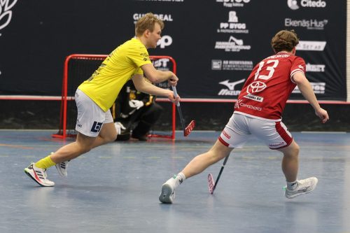 20260103 HovslattVisby 0364