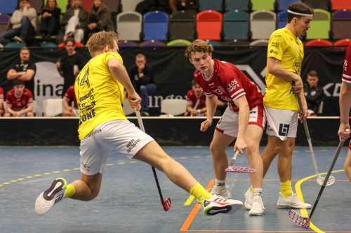 20260103 HovslattVisby 0368