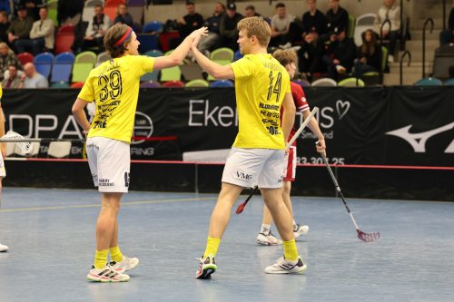 20260103 HovslattVisby 0369