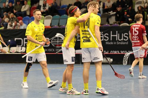 20260103 HovslattVisby 0371