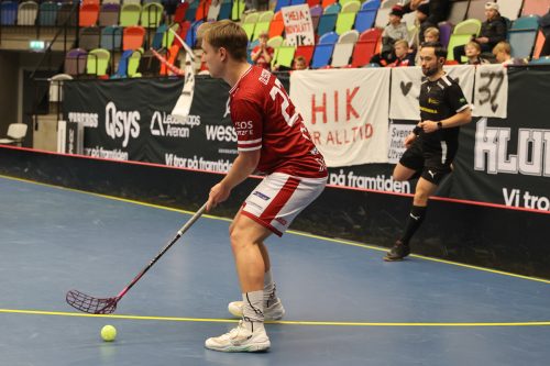 20260103 HovslattVisby 0376