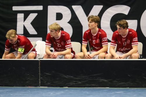 20260103 HovslattVisby 0379