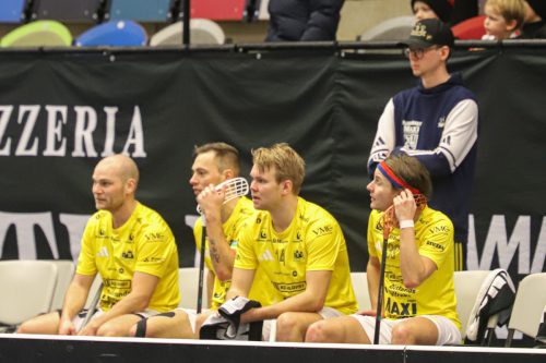 20260103 HovslattVisby 0381