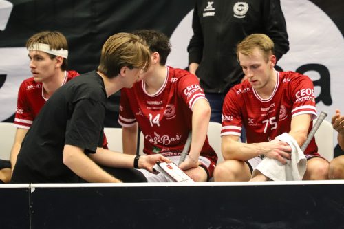 20260103 HovslattVisby 0383