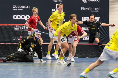 20260103 HovslattVisby 0387