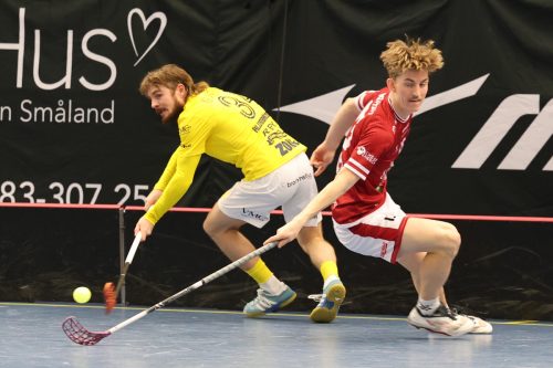 20260103 HovslattVisby 0391