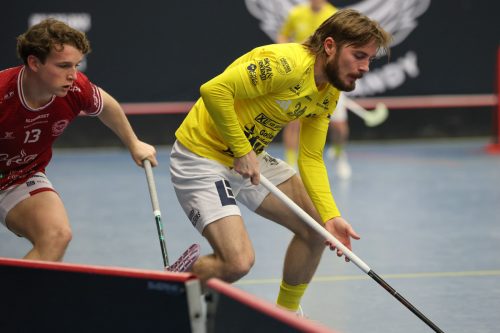 20260103 HovslattVisby 0394