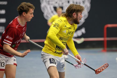 20260103 HovslattVisby 0395