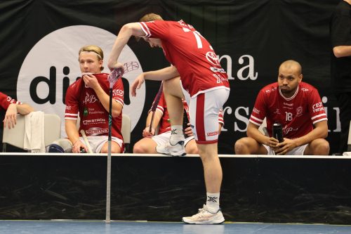 20260103 HovslattVisby 0397