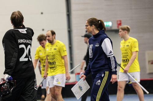 20260103 HovslattVisby 0398