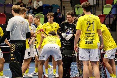 20260103 HovslattVisby 0399