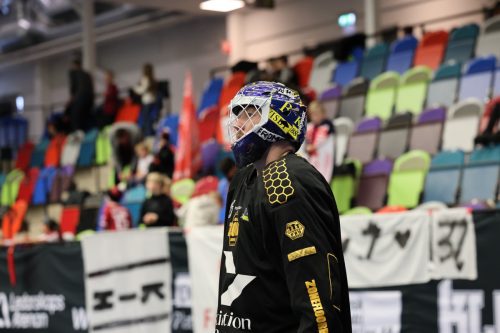 20260103 HovslattVisby 0405