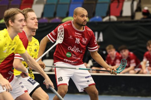 20260103 HovslattVisby 0406