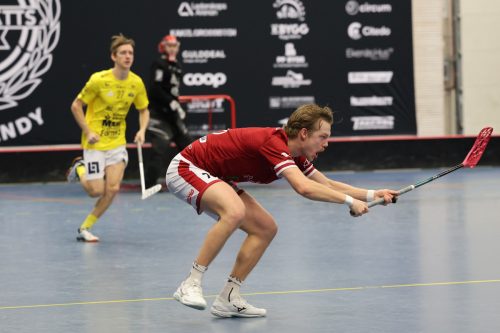 20260103 HovslattVisby 0412