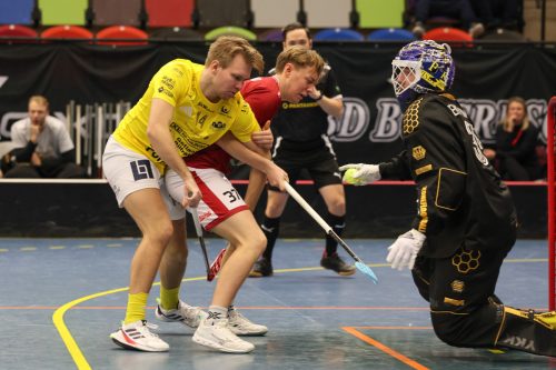 20260103 HovslattVisby 0413