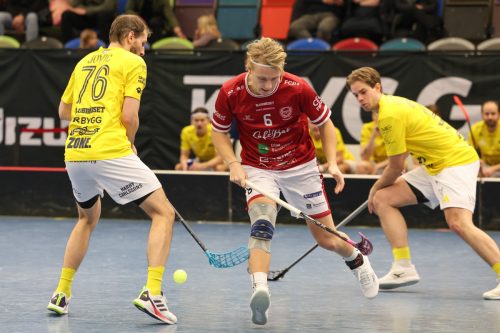 20260103 HovslattVisby 0414