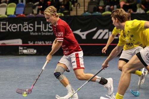 20260103 HovslattVisby 0415