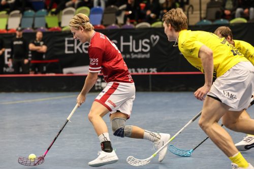 20260103 HovslattVisby 0416