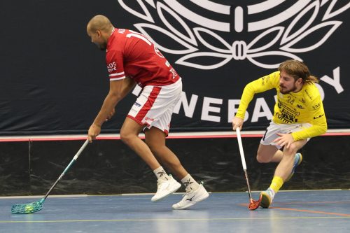 20260103 HovslattVisby 0417