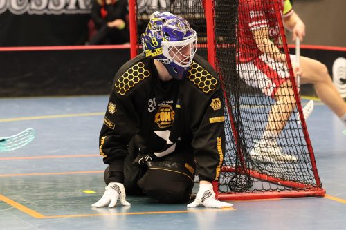 20260103 HovslattVisby 0418