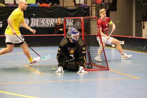 20260103 HovslattVisby 0419