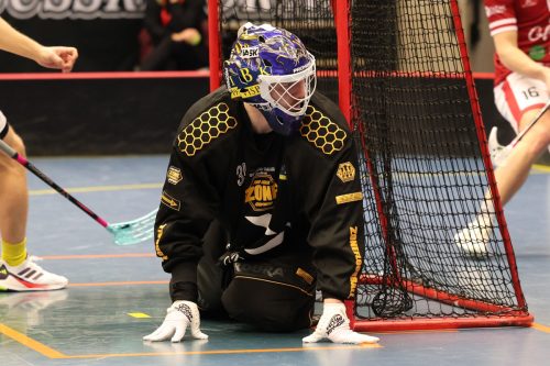 20260103 HovslattVisby 0420